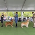 Running Competitions in Suffolk County NY: Is There a Post-Race Clean Up?