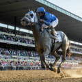 Safety Measures for Running Competitions in Suffolk County, NY