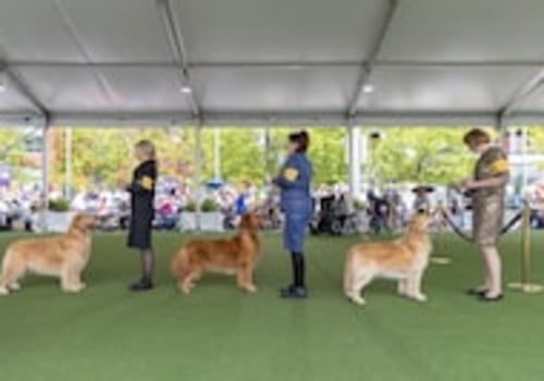 Running Competitions in Suffolk County NY: Is There a Post-Race Clean Up?